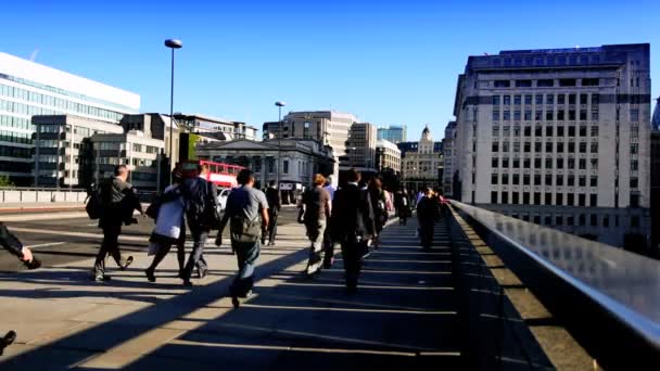 City Commuters & Buses — Stock Video