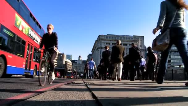 City Commuters & Buses — Stock Video