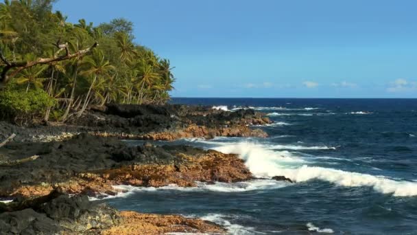 Breaking Waves on Rocky Beach — Stock Video