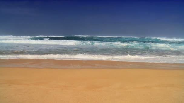 Onde sulla spiaggia tropicale con spazio di copia — Video Stock