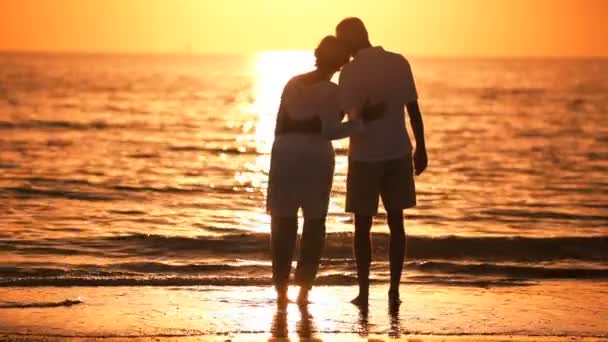 Пенсіонери романтичний вечір захід сонця — стокове відео