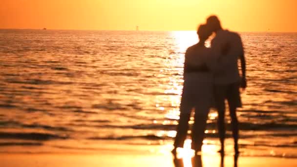 Senioren genießen einen romantischen Sonnenuntergang — Stockvideo