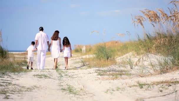 Sevgi dolu aile kumsalda yürüyüş — Stok video