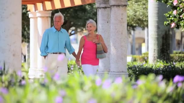 Alışveriş merkezinde gelen emekli Çift — Stok video