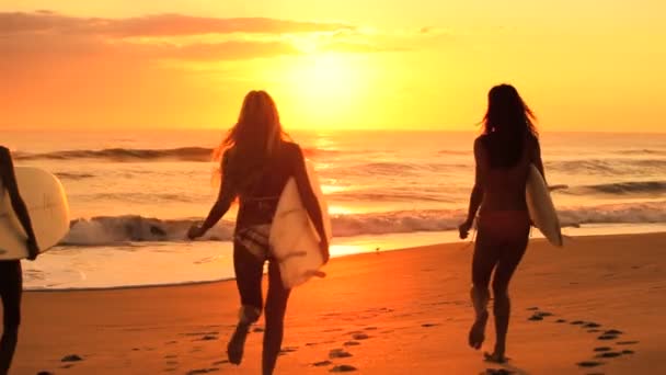 Девочки с досками для серфинга на рассвете — стоковое видео
