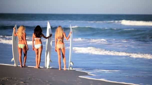 Meninas modelo com pranchas de surf — Vídeo de Stock