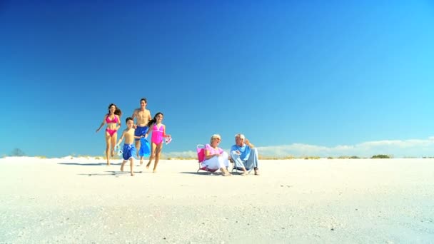 Tre generazioni di famiglie che si godono la spiaggia — Video Stock