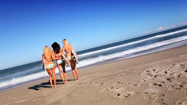 Girlfriends With Surf Boards on Beach — Stock Video