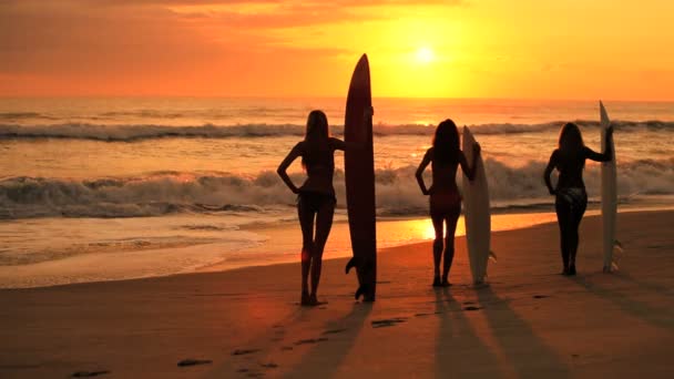 Kızlar sörf tahtaları ile güneş doğarken modelleme — Stok video