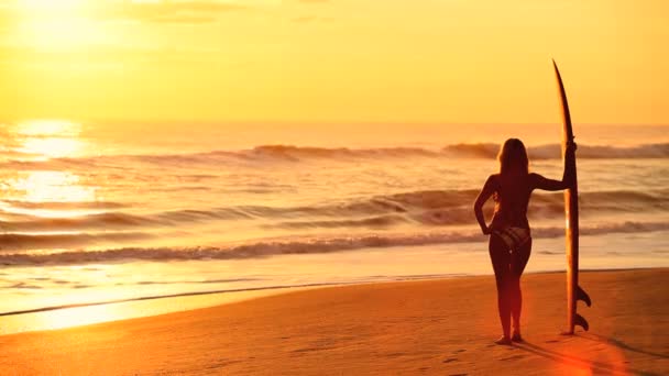 Surfer Girl at Sunrise — Stock Video