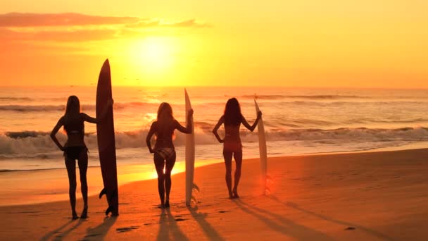 Surfer κορίτσια με την Ανατολή — Αρχείο Βίντεο