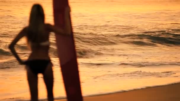 Surfer meisje bij zonsopgang — Stockvideo