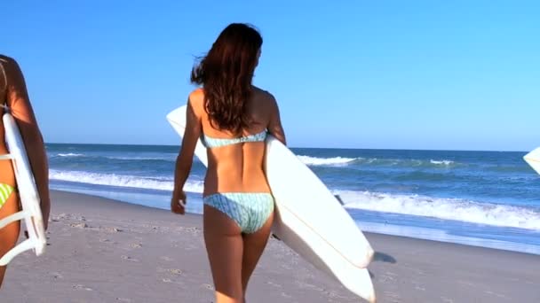 Chicas jóvenes van a surfear — Vídeos de Stock