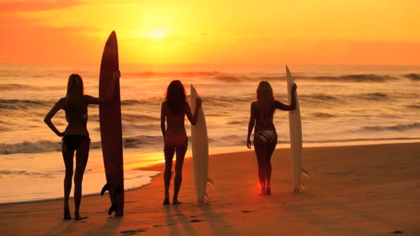 Chicas modelando con tablas de surf al amanecer — Vídeo de stock