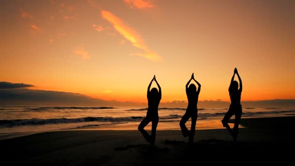 Yoga meninas ao nascer do sol — Vídeo de Stock
