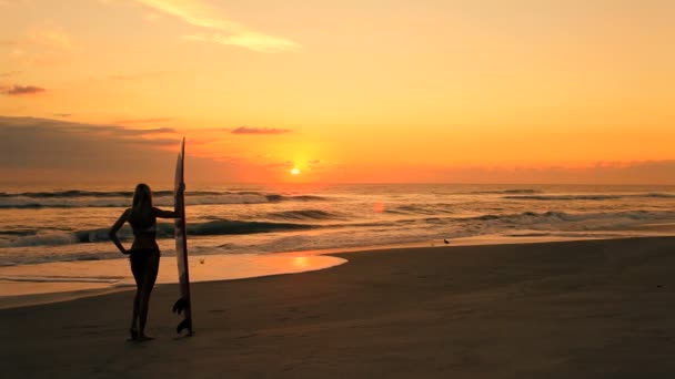 Surfer dívka při východu slunce — Stock video