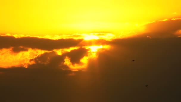 Облака и закат солнца — стоковое видео