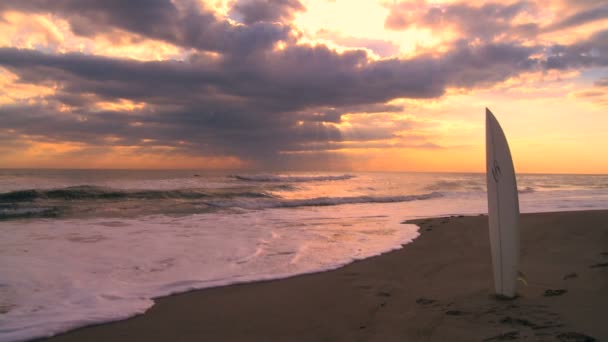 Surfbrett bei Sonnenaufgang — Stockvideo