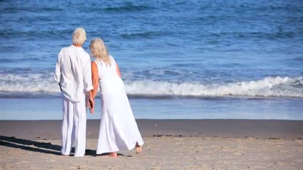 Пожилая пара наслаждается временем на пляже — стоковое видео