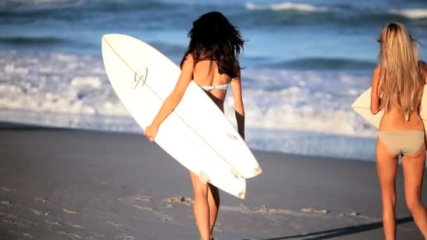 Surfmädchen gesunder Lebensstil — Stockvideo