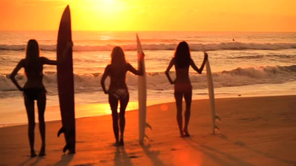 Surfer meisjes bij zonsopgang — Stockvideo