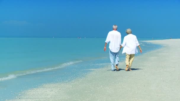 Старший пара пляж способу життя — стокове відео