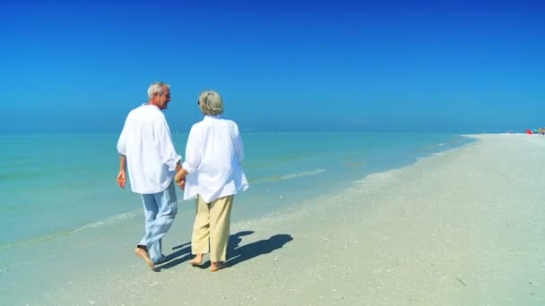 退休的夫妇赤脚在海滩上 — 图库视频影像