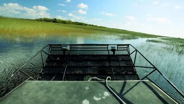 Airboat en Florida Everglades — Vídeo de stock