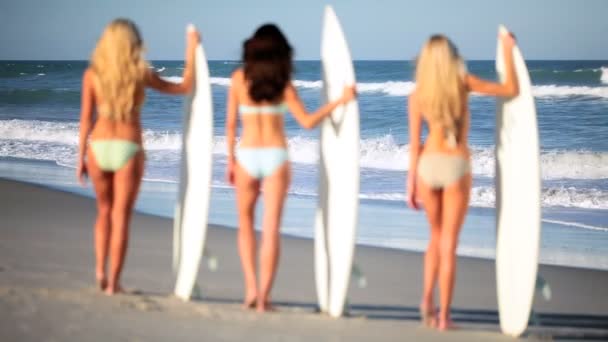Modelos de tabla de surf — Vídeo de stock
