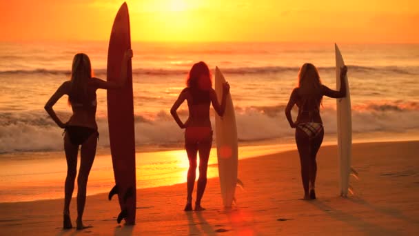 Modelo meninas no nascer do sol — Vídeo de Stock