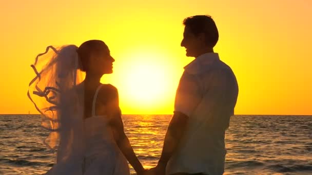 Tramonto Silhouette Sposa & Sposo — Video Stock