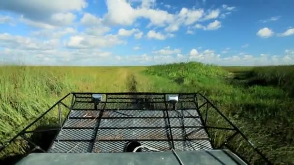 Airboat in Florida Everglades — Stok video