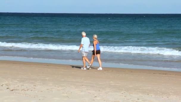 Seniors Healthy Walking Fitness — Stock Video