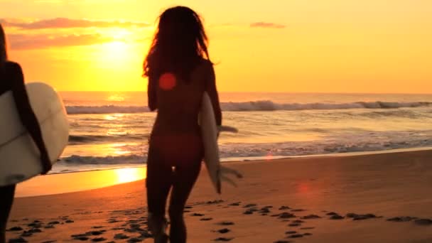 Meninas bonitas com pranchas de surf no nascer do sol — Vídeo de Stock
