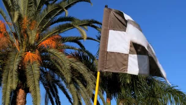 Golf sahasında damalı bayrağı — Stok video