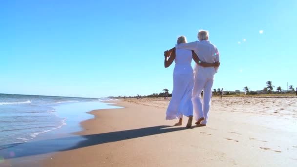 Jubilación de personas mayores Ocio — Vídeo de stock