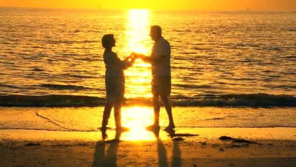 Romantic Senior Couple at Sunset — Stock Video