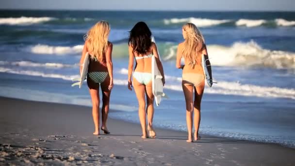 Surf Girls Waiting for Waves — Stock Video