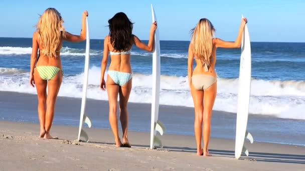 Surf modellen op het strand — Stockvideo