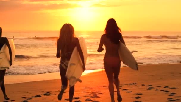 Mooie meisjes met surfplanken bij zonsopgang — Stockvideo