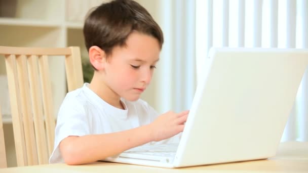 Little Caucasian Boy With Laptop — Stock Video