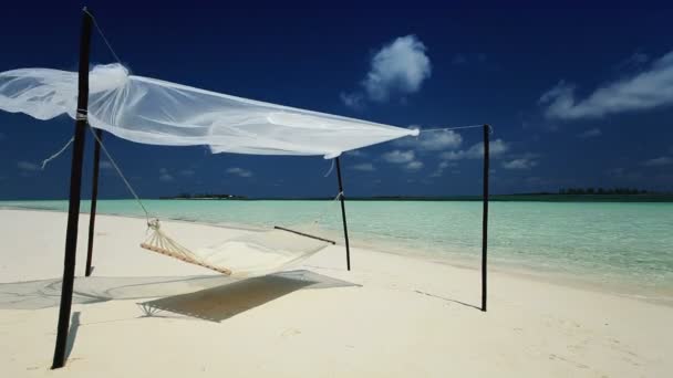 Hammock Swaying Over Tropical Beach — Stock Video