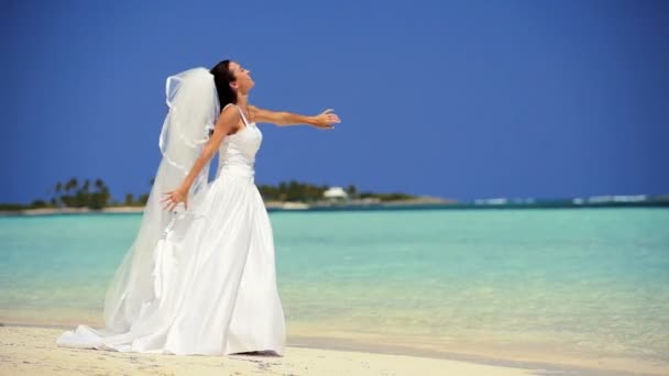 Lusso Paradise Island Sposa — Video Stock