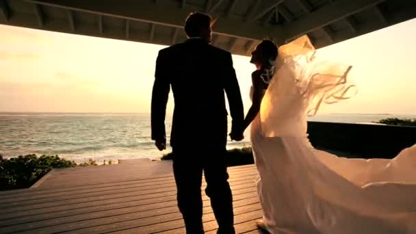 Tropical Island Couple de mariage — Video