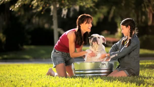 Jovem mãe e filha banho família Bulldog — Vídeo de Stock