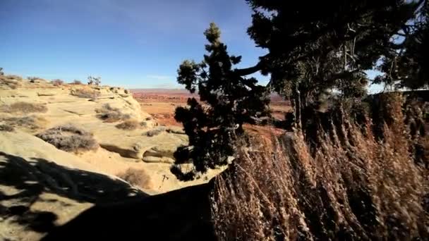 Panoráma a Nemzeti Park — Stock videók