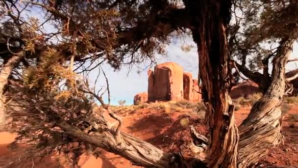 Rock & vegetatie van Monument Valley — Stockvideo