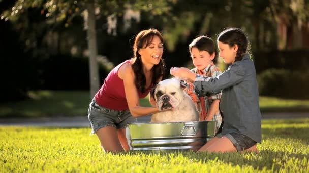 Joven familia baño mascota bulldog — Vídeo de stock