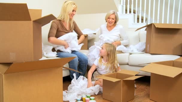 Семейные самки играют с тканью из движущихся картонных коробок — стоковое видео