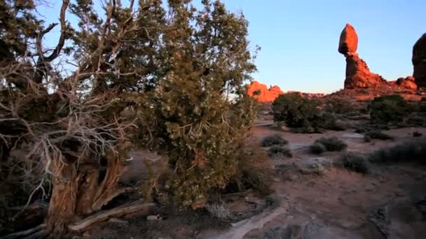 Evenwichtige rock gevormd door de natuur — Stockvideo